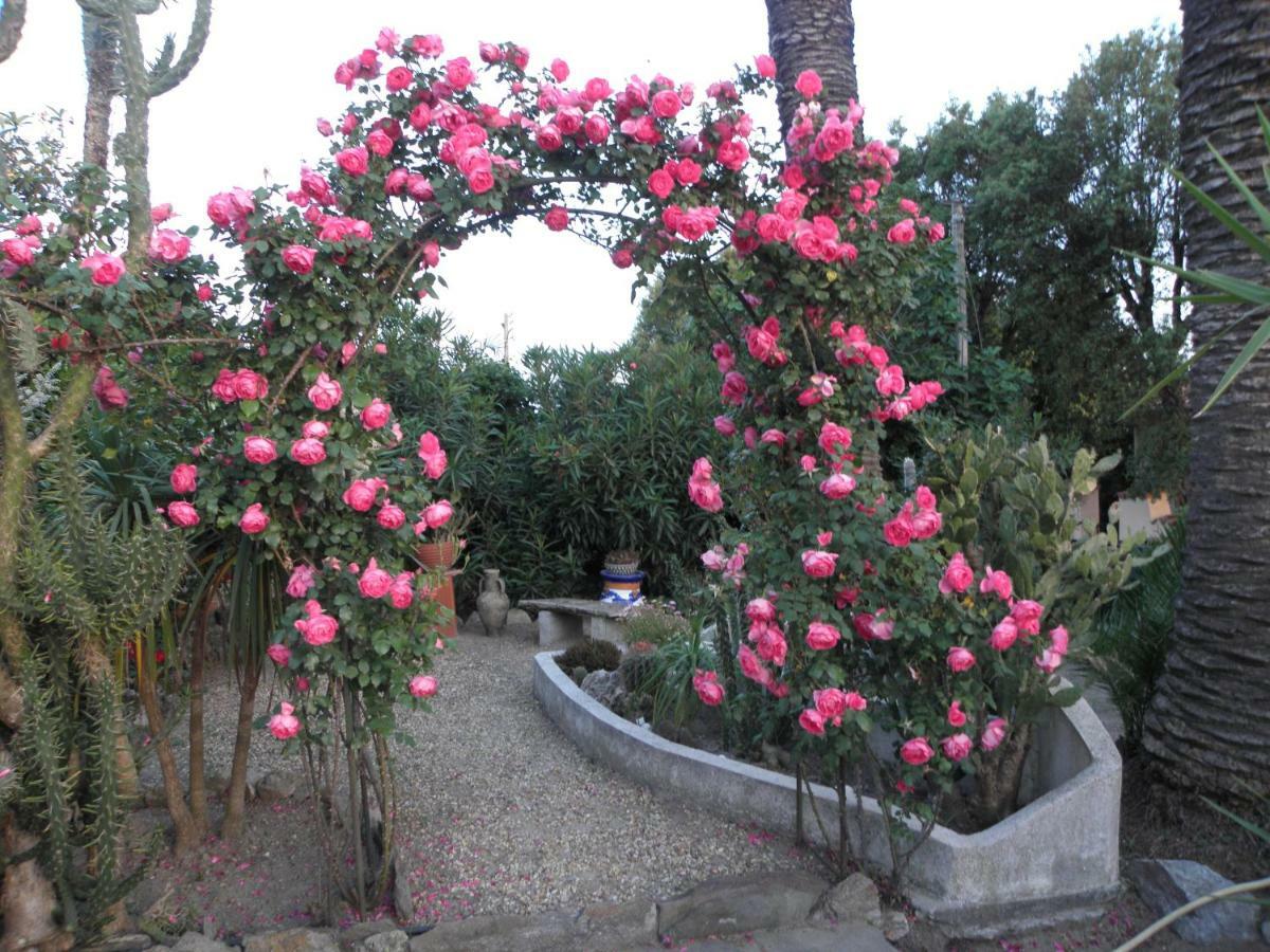 Villa Ingrid Gassin Exterior foto